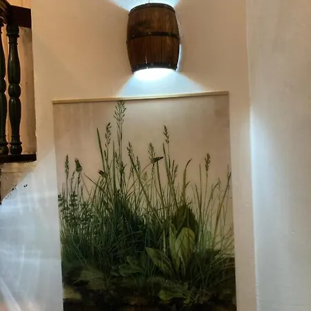 Апарт-отель Zur Baumwolle